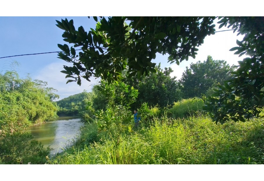 Chỉ 145k/m2 sở hữu ngay 24.000m2 đất nghỉ dưỡng bám sông siêu đẹp tại Tân Lạc, Hòa Bình