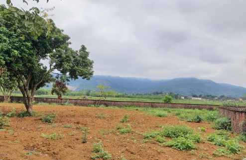 Bán gấp 2506m2 đất nghĩ dưỡng siêu rẻ tại Cư Yên, Lương Sơn, Hòa Bình
