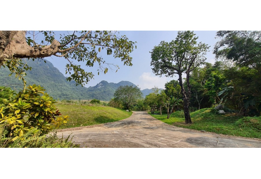 Sang nhượng nhanh 6.6ha đất nghỉ dưỡng, bám mặt đường bê tông hơn 300m tại Cao Sơn, Lương Sơn, Hòa Bình