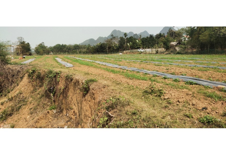 Chính chủ gửi bán 3750m2 đất nghỉ dưỡng bám sông tại Kim Bôi, Hoà Bình