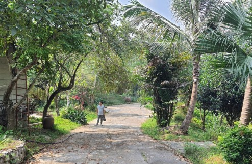 Sang nhượng nhanh 6.6ha đất nghỉ dưỡng, bám mặt đường bê tông hơn 300m tại Cao Sơn, Lương Sơn, Hòa Bình