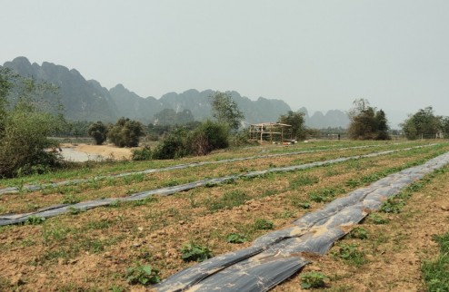 Chính chủ gửi bán 3750m2 đất nghỉ dưỡng bám sông tại Kim Bôi, Hoà Bình