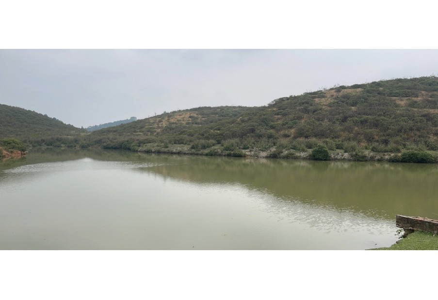 Cần bán 8.4ha đất nghỉ dưỡng “sơn thủy hữu tình” tại Thanh Sơn, Lương Sơn, Hòa Bình