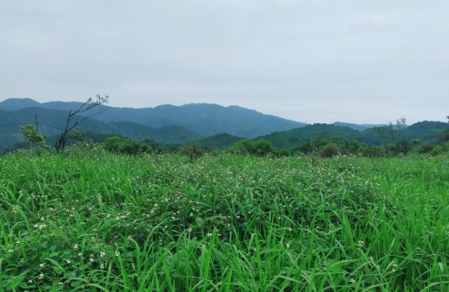 Sở hữu ngay 9.300m2 đất RSX  tại Cao Phong, Hòa Bình chỉ với 360tr