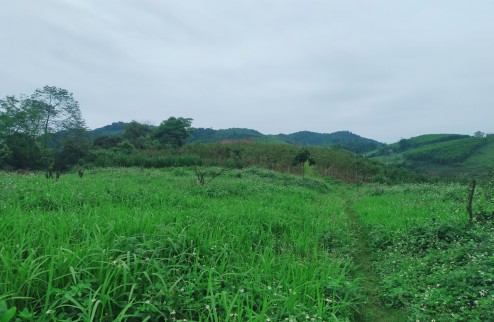 Sở hữu ngay 9.300m2 đất RSX  tại Cao Phong, Hòa Bình chỉ với 360tr