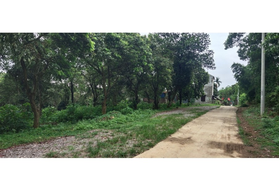 Chuyển nhượng gấp 593m2 đất thổ cư, mặt tiền 12.5m tại thị trấn Lương Sơn, Lương Sơn, Hòa Bình.