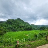 Sang nhượng gấp 1945m2 đất thổ cư tại Lương Sơn, Hòa Bình, view ruộng bậc thang - đặc trưng núi rừng Tây Bắc