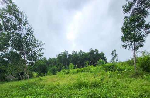 Sang nhượng gấp 1945m2 đất thổ cư tại Lương Sơn, Hòa Bình, view ruộng bậc thang - đặc trưng núi rừng Tây Bắc