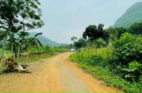 Bán gấp 1.206m2 đất thổ cư view vị trí đẹp tại Lương Sơn, Hòa Bình.