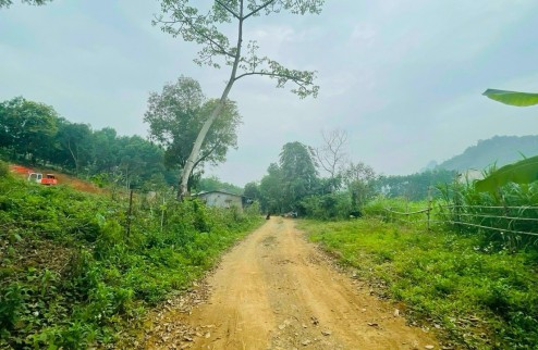 Bán gấp 1.206m2 đất thổ cư view vị trí đẹp tại Lương Sơn, Hòa Bình.